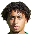 https://img.jho88.com/img/football/player/347a6d58ae7ec0425a4d42bc9215c411.png