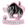 https://img.jho88.com/img/football/team/97c3ef30cac48cadff97605e387feefa.png